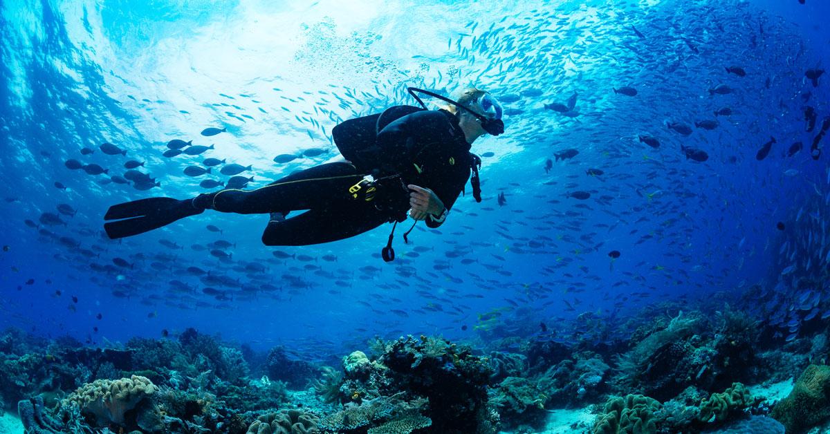  Diving Experience  – Esplora il mondo sommerso della Sicilia